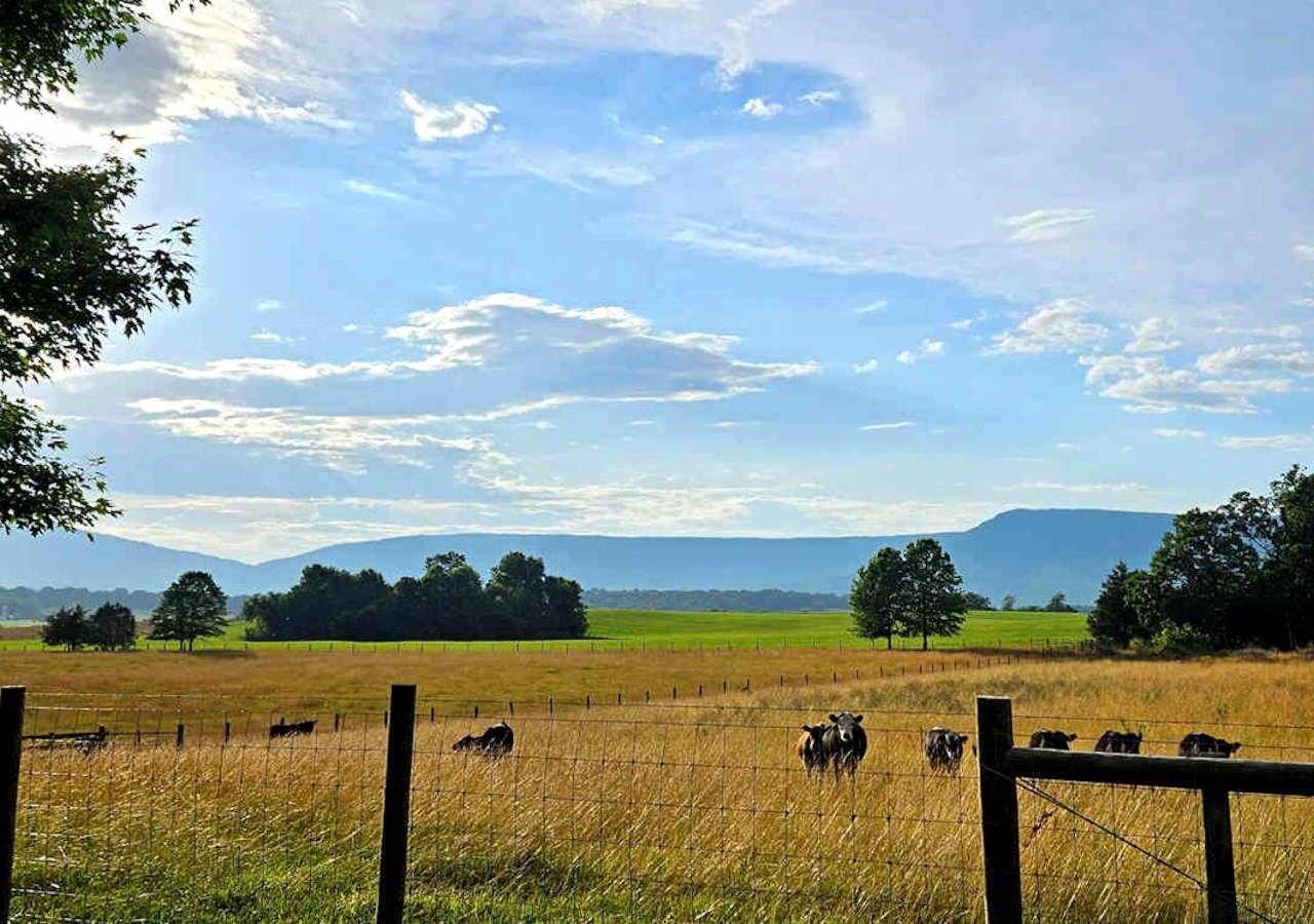 Piney Hill B&B And Cottages Luray Zewnętrze zdjęcie